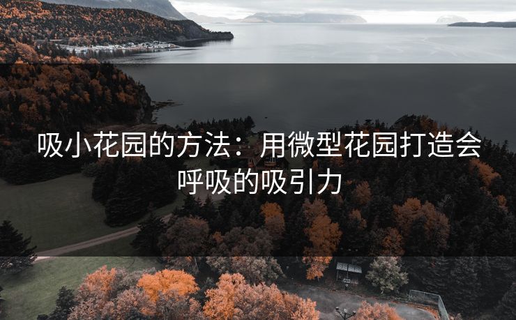 吸小花园的方法：用微型花园打造会呼吸的吸引力