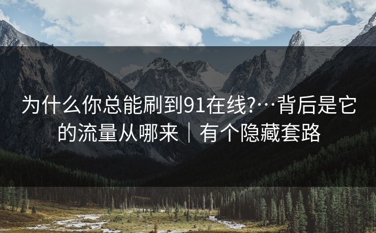 为什么你总能刷到91在线?…背后是它的流量从哪来｜有个隐藏套路