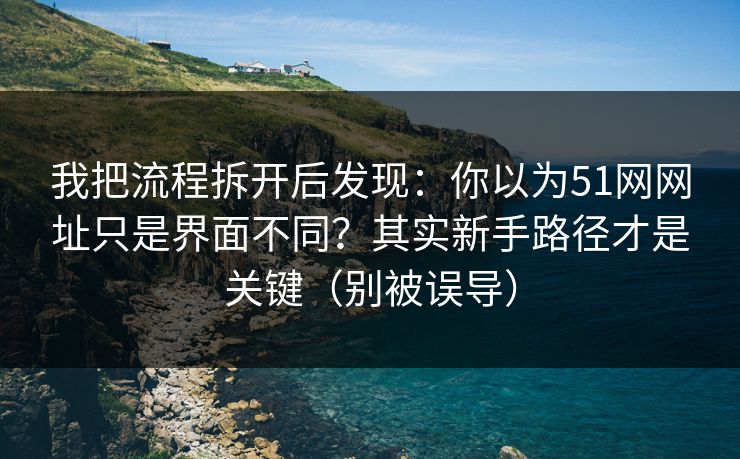 我把流程拆开后发现：你以为51网网址只是界面不同？其实新手路径才是关键（别被误导）