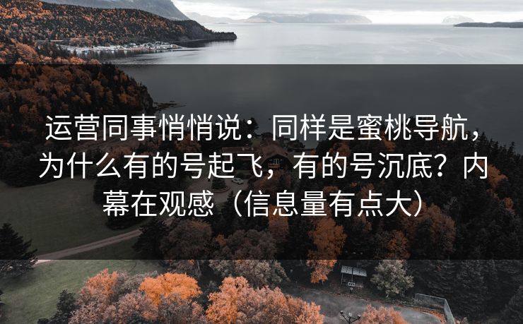 运营同事悄悄说:同样是蜜桃导航,为什么有的号起飞,有的号沉底?内幕在观感(信息量有点大)